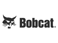 Bobcat